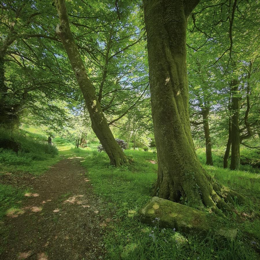 Ta Mill Holiday Cottages & Lodges -Ta Mill House Launceston Esterno foto