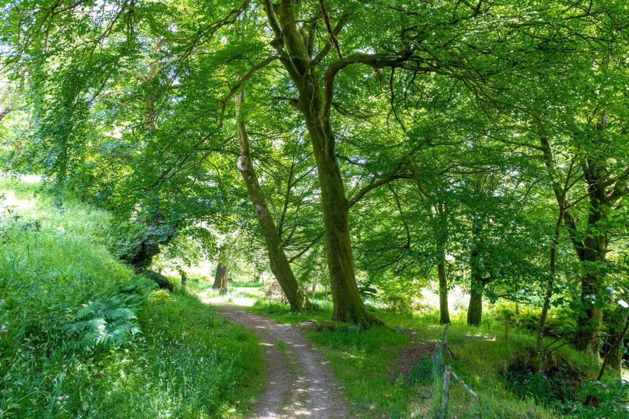 Ta Mill Holiday Cottages & Lodges -Ta Mill House Launceston Esterno foto