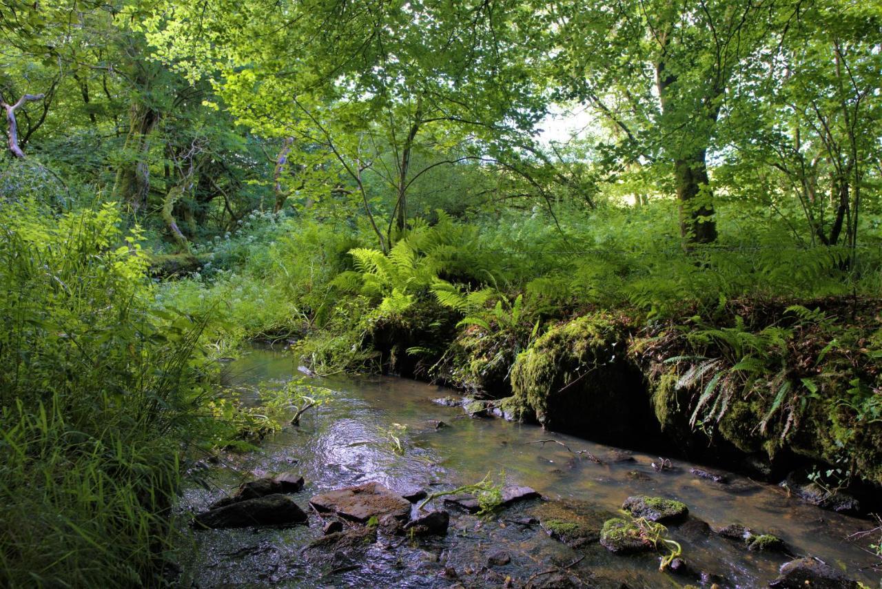 Ta Mill Holiday Cottages & Lodges -Ta Mill House Launceston Esterno foto