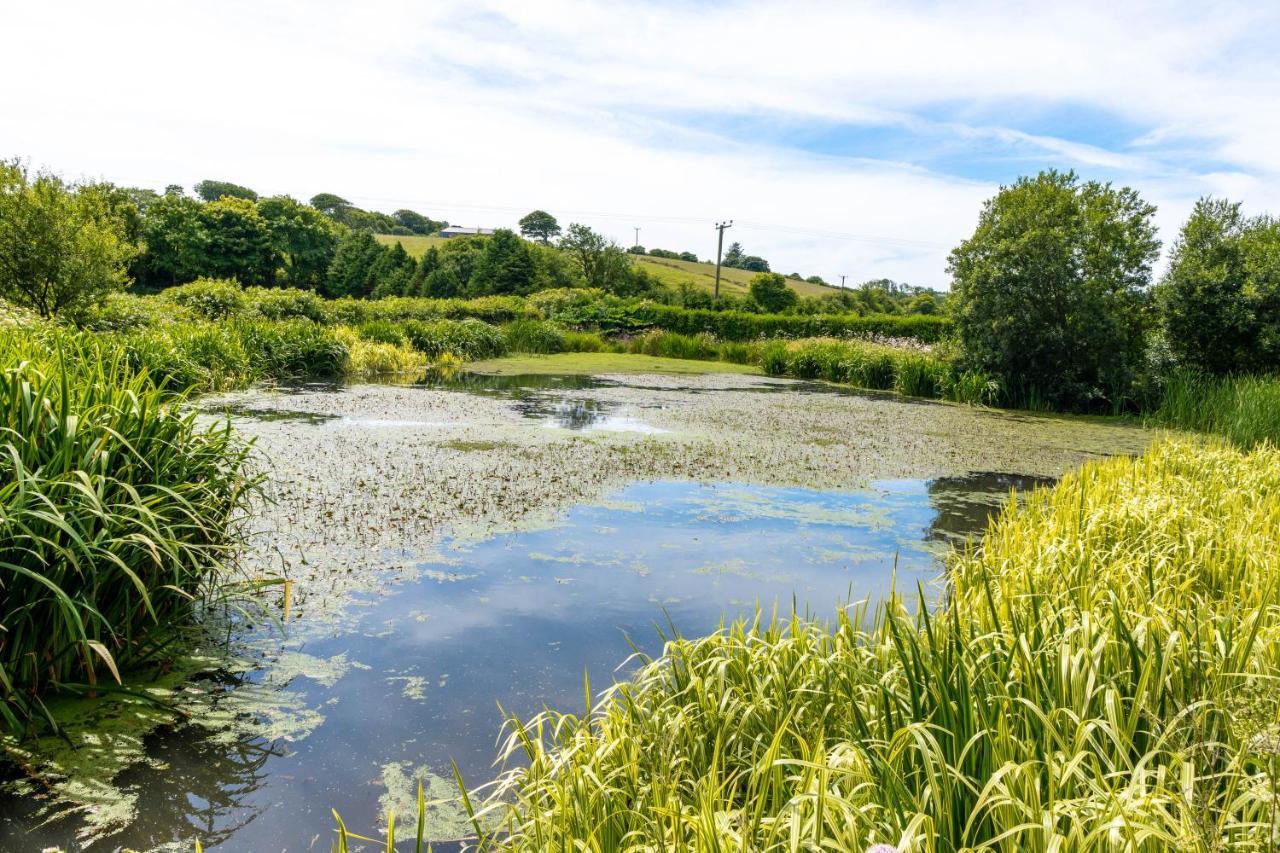 Ta Mill Holiday Cottages & Lodges -Ta Mill House Launceston Esterno foto