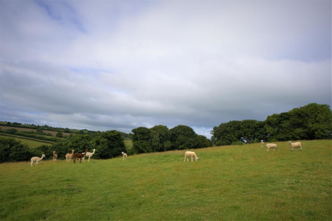 Ta Mill Holiday Cottages & Lodges -Ta Mill House Launceston Esterno foto