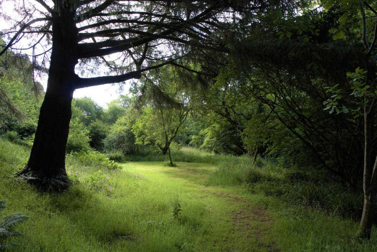 Ta Mill Holiday Cottages & Lodges -Ta Mill House Launceston Esterno foto